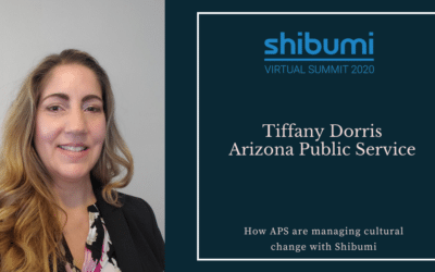 How APS manage their Customer Affordability Programs with Shibumi