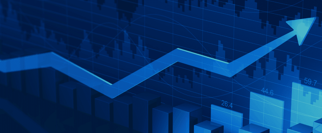 Portfolio Value Optimization in 2025