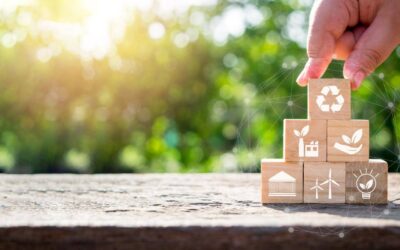 How to Fast-Track Your Company’s ESG Success